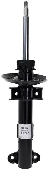 Shock Absorber 317 560