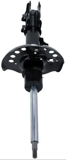 Shock Absorber 315 756