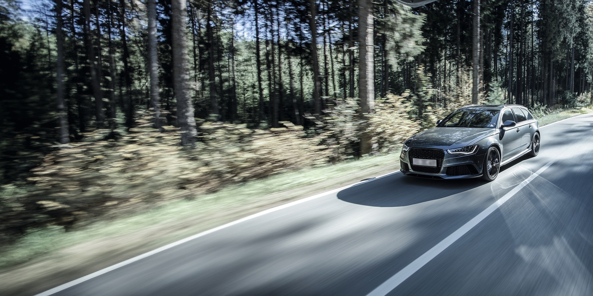 LF audi on forest road