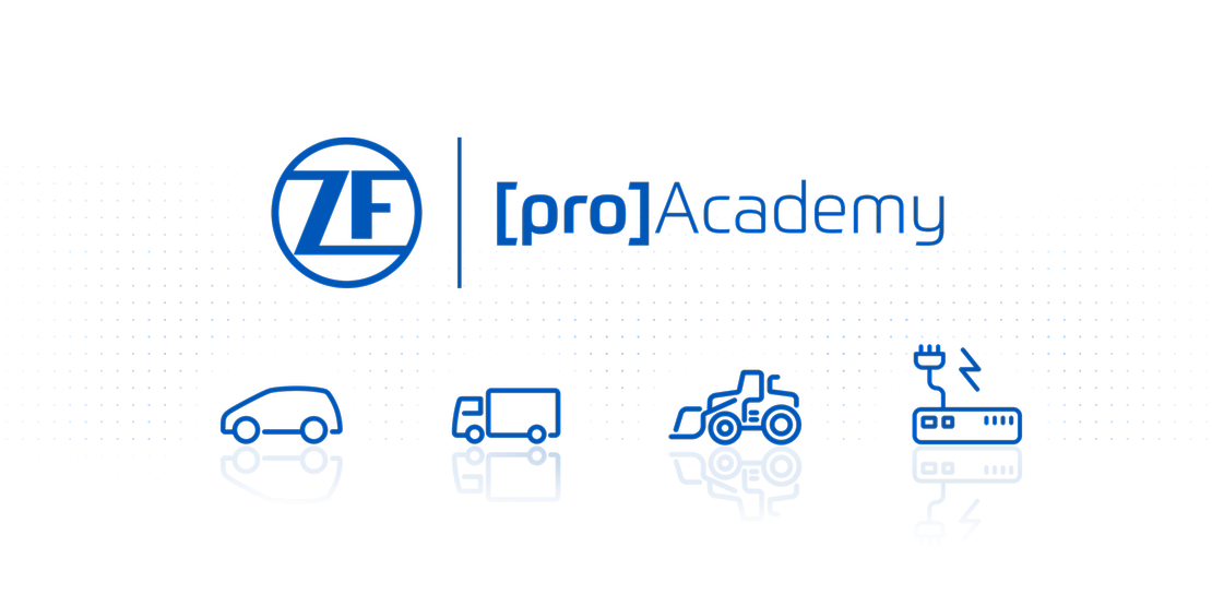 ZF [pro] Opleiding
