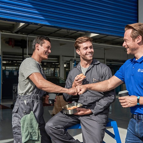 ZF [pro]Tech Global: